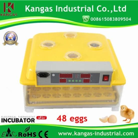 Newest Transparent 48 Eggs Incubator (KP-48)