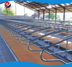 High Quality Cattle Cubicle Fencing Panels Cow Free Stall for Sale