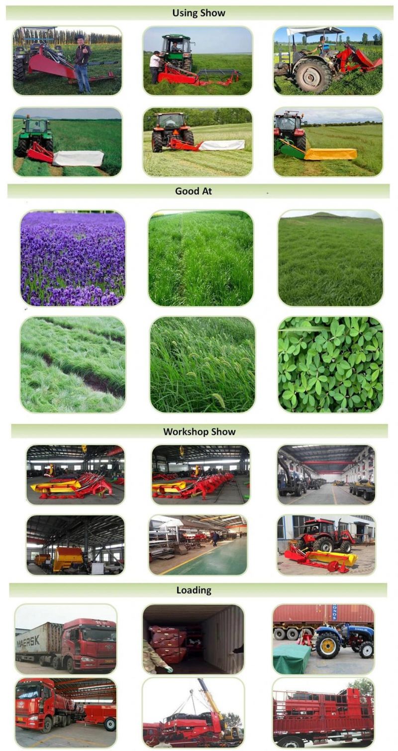 2-8 Disc Pasture Mowing Machine/ Tractor Grass Cutter/Kentucky Blue Grass/Fescue Mower (factory selling customization)