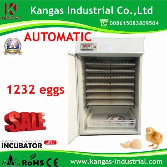 CE Approved Full Automatic Temperature Small Incubator Thermostat for Sale