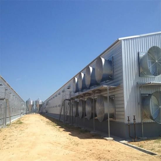 Prefab Quickly Assemble Galvanized Automatic Steel Chicken Poultry