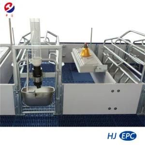 High Quality Galvanized Farrowing Crate for Pig Farms/Pig Farming Equipment