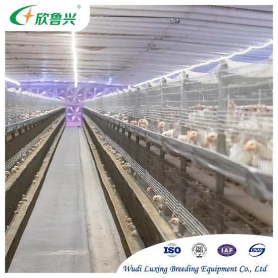 3 4 Tiers Automatic Broiler Cage System Battery Cages for Broiler Chicken