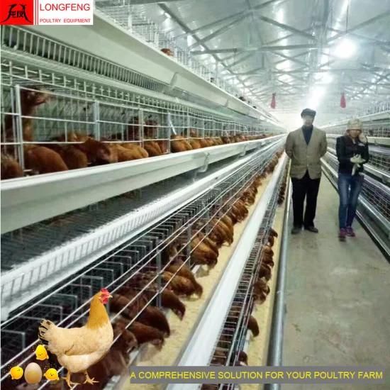 Longfeng Electric Hot Galvanized on-Site Installation Instruction Chicken Cage with ...