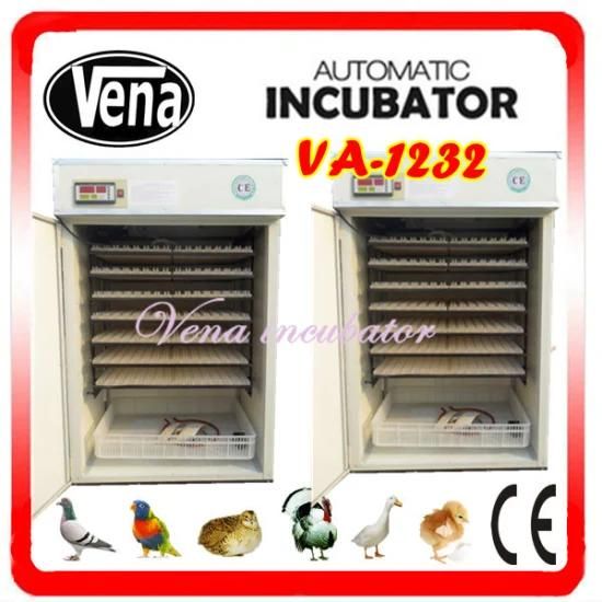 Automatic China Incubator (VA-1232)