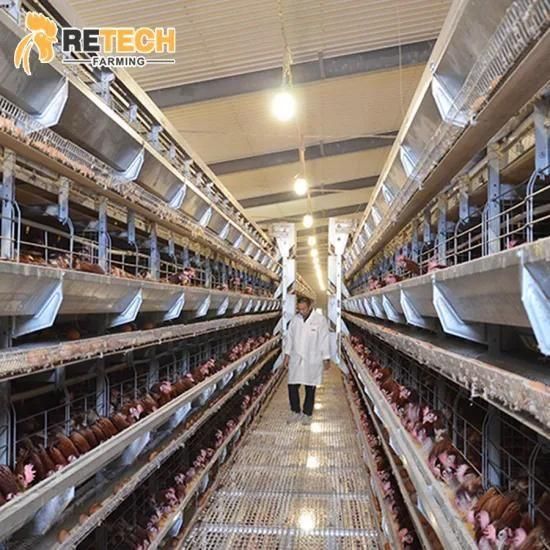 Made in China H type broiler chicken cage equipment with poultry feeder