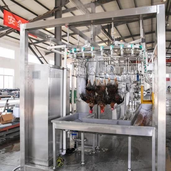 Compact 1000bph Chicken Slaughtering Assembly Slaughter Line