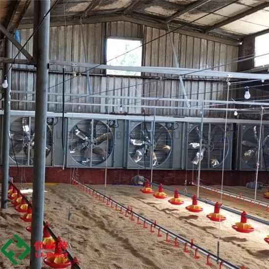 Complete Automatic Controlled Machinery Poultry Shed Farm Equipment for Chicken Broiler ...