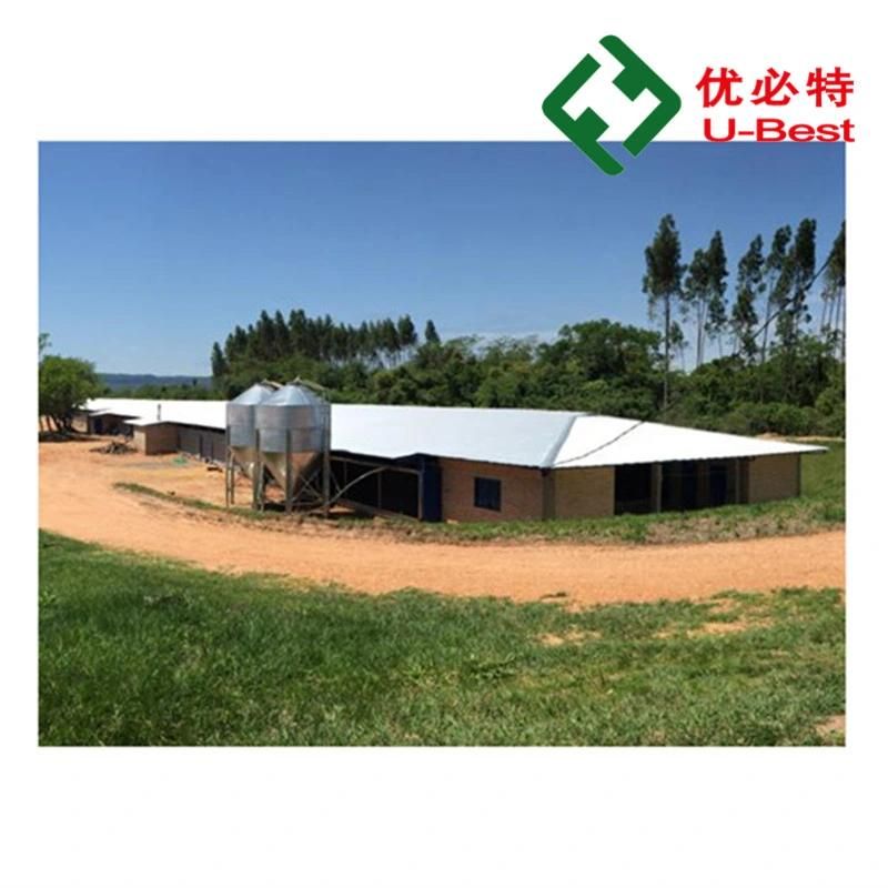 Poultry House Equipment Suppliers Automatic Broiler Pan Feeding System