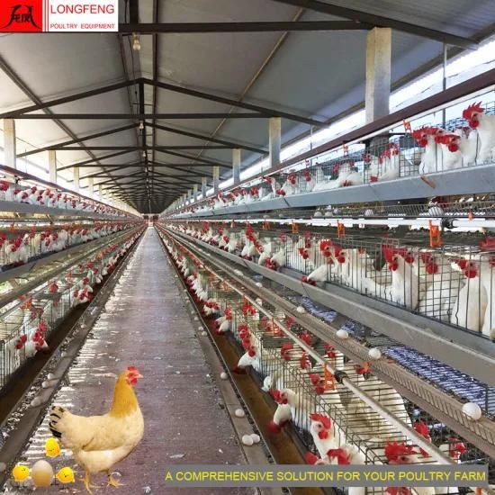 Longfeng Factory Price Hopper Trolley Cart Poultry Equipment for a Type of Layer Cage