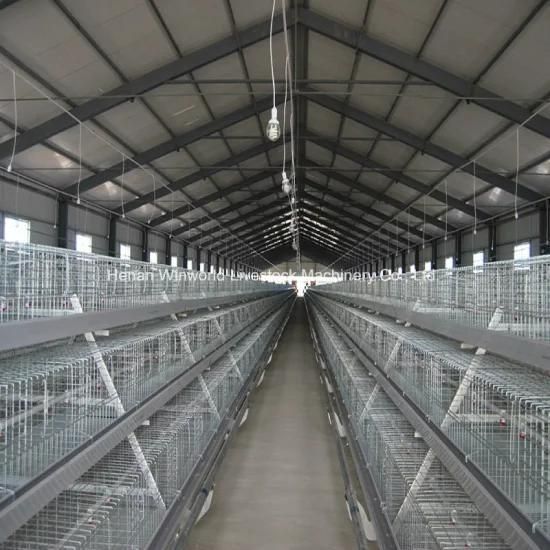 a Frame Automatic Broiler Equipment Broiler Rearing Cage for Growing Broiler for Sale
