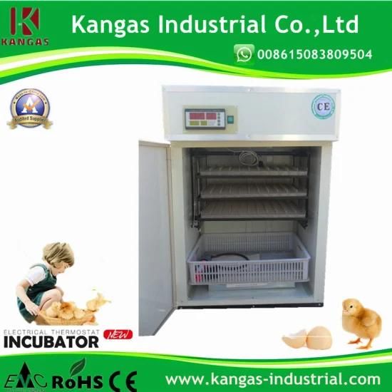Top Sell Fully Automatic Poultry Incubator for Quail Eggs
