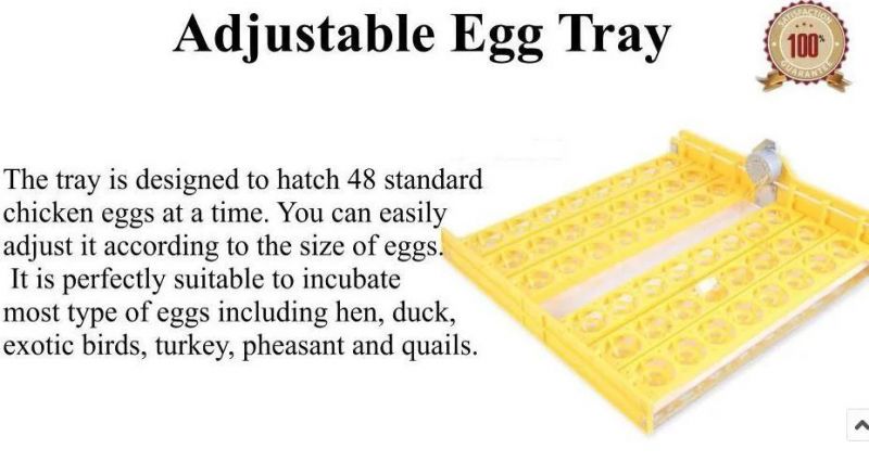 Holding 48 Eggs CE Marked Full Automatic Egg Incubator
