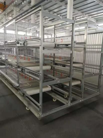 Layer Cage System for Broiler/Chicken Layer/Egg Chicken