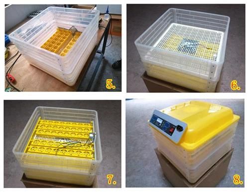 Hhd 96 Eggs Automatic Egg Incubator for Sale (YZ-96)