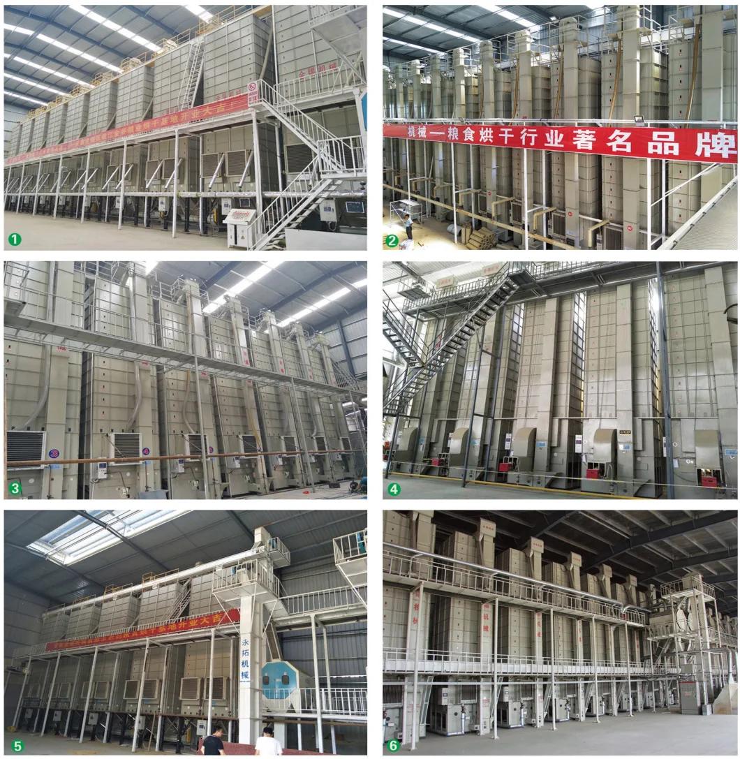 Agricultural Harvest Batch Dryer Maize Dryer Paddy Rice Corn Wheat Drying Machine Grain Dryer Tower Factory Price