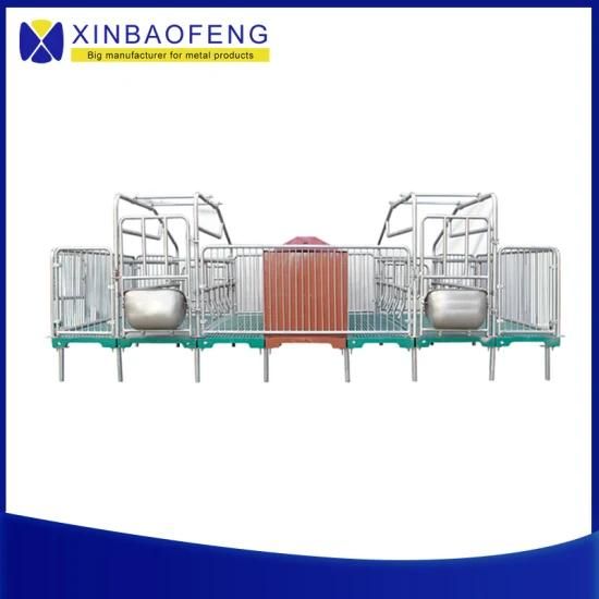 Pig House Design Breeding Equipment Pig Barbed Wire Sow Farrowing Crate for Sale