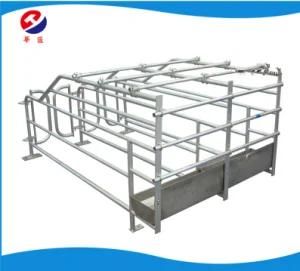 Wholly Hot DIP Galvanized Gestation Crate / Stall / Pen Farrowing Crate Farming Equipment