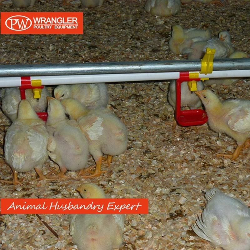 Best Price Chicken Nipple Drinker for Poultry Farm Equipment