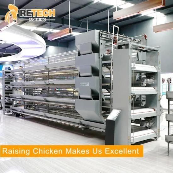 Design A type Layer Chicken Cage for 5000 Chickens