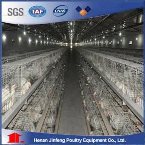 Broiler Poultry Equipment Chicken Cage (JF008)