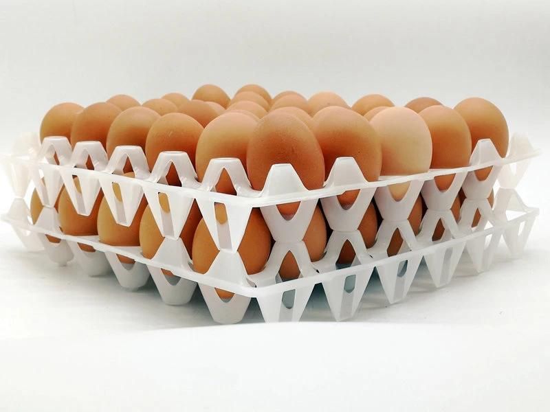 30 Holes Plastic Egg Tray for Poultry Farm