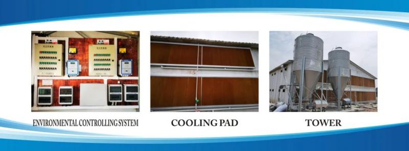 Qzh Cage Breeding Watering Line System for Layer/Broiler