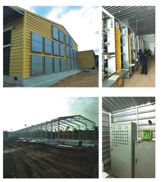 Poultry Farm House Design with Automatic Equipment for Layers