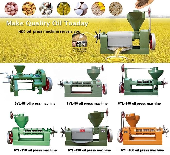 Factory Direct Price Walnut Processing Machine/Grape Seed Screw Rosehip Almond Oil Press Machine for Sale