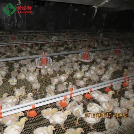 Automatic Poultry Feeding Chicken Breeding Equipments for Broiler Farm