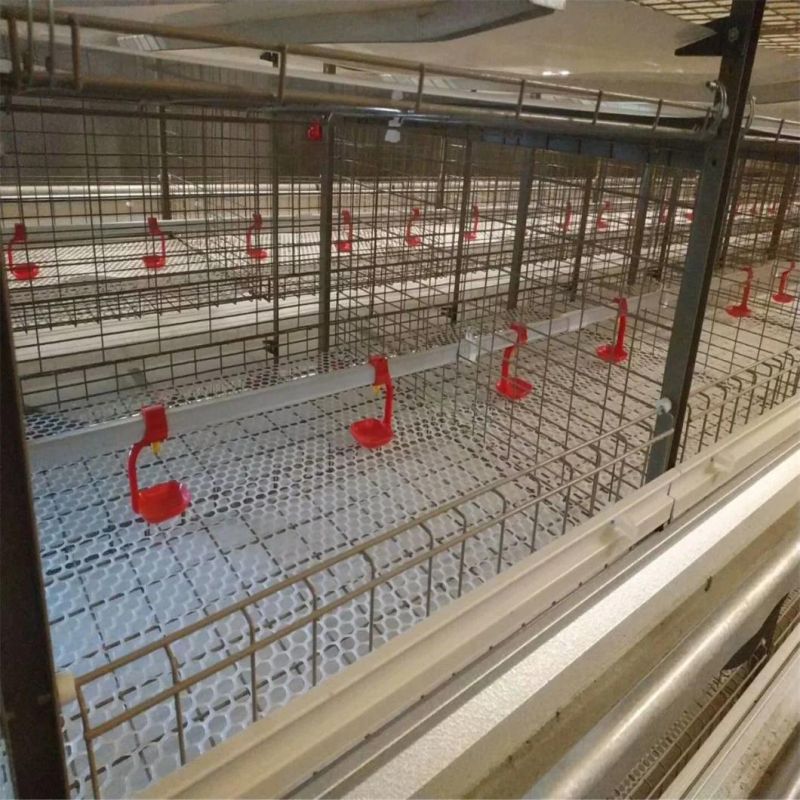 Xgz Group′s Poultry Farm Chicken Cage