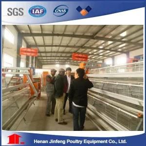 Automatic Pullet Chicken Birds' Poultry Cages for Farm Use