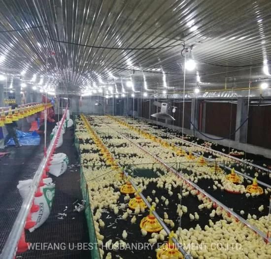 Weifang U-Best Strong Quality Ethiopia Chicken Farm Poultry Equipment for Sale