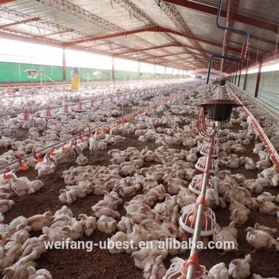 Good Price Commercial Chicken Broiler Poultry Farm House Design