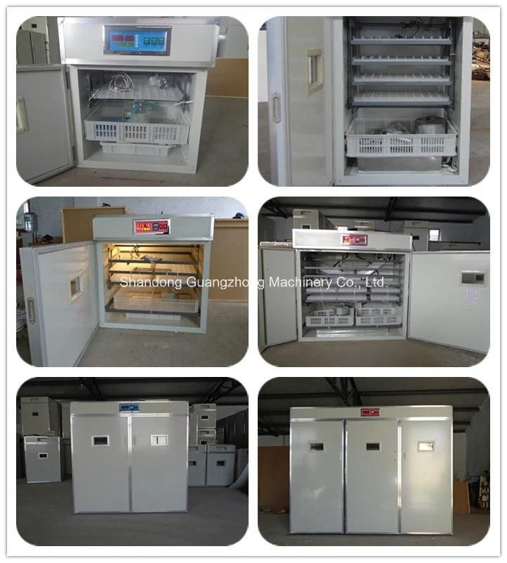 Automatic Chicken and Birds Egg Hatcher/Poultry Egg Incubator
