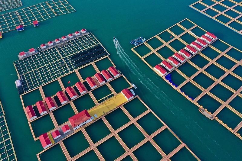 Fish Farming Water Plastic Aquaculture Equipment Floating Net Cages