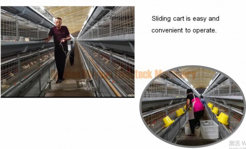 Chicken Bird Broiler Cage Livestock Machinery for Poultry Farm House