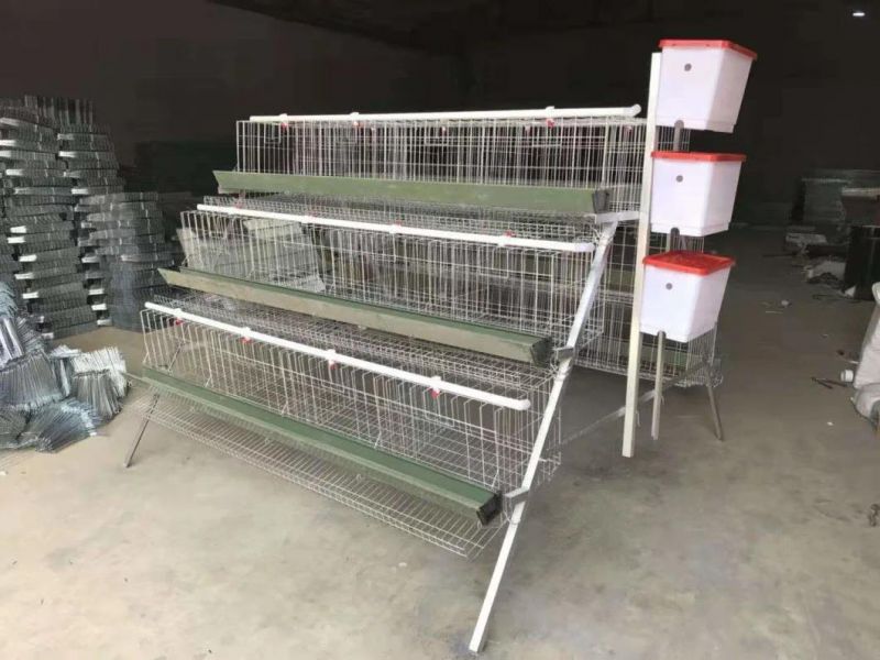Battery Cage for Layer 3 Tiers 96 Pieaces Hot Galvanized Cage Simple Design