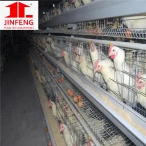 a Frame Battery Poultry Equipment Layer Chicken Cage