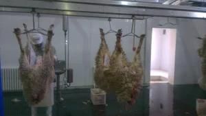 Halal Complete Lamb Slaughter Line Skin Equipment for Abattoir