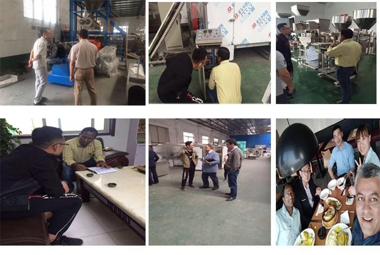 Dog Food Manufacturing Equipment Machinery Pellet Feed Production Line