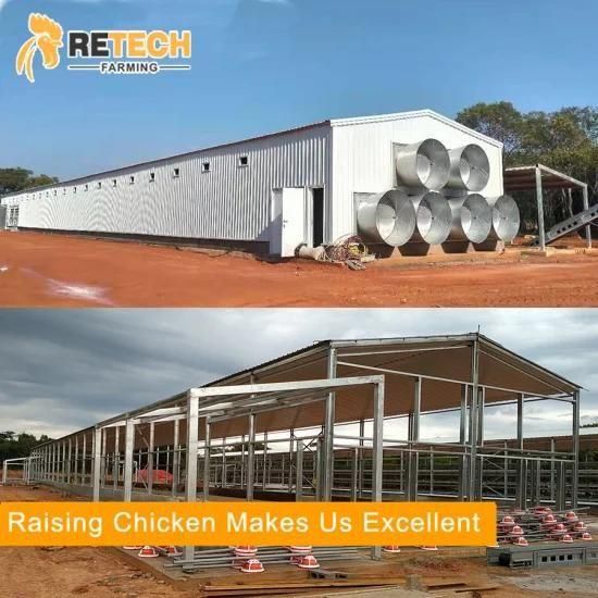 China Design Professional Broiler Chicken Farm Poultry Shed