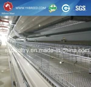 Hot Galvanized Wire Mesh Cage for Hot Sale