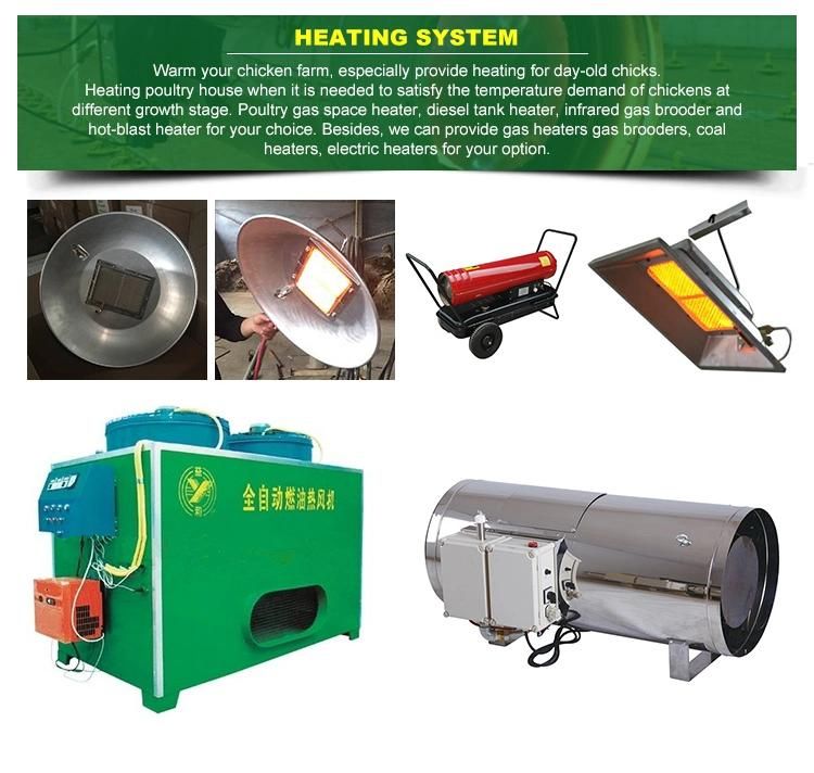 Turkey Automatic Poultry Chicken Farming Equipment for Broiler and Breeder