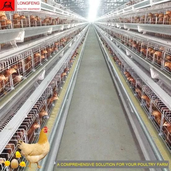 Longfeng Most Advanced Technology Low Egg Broken Rate Layer Cage with Factory Price