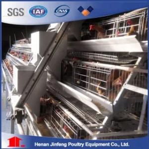 Battery Cage Laying Hens Chicken Farm Equipment Used Poultry Equipment