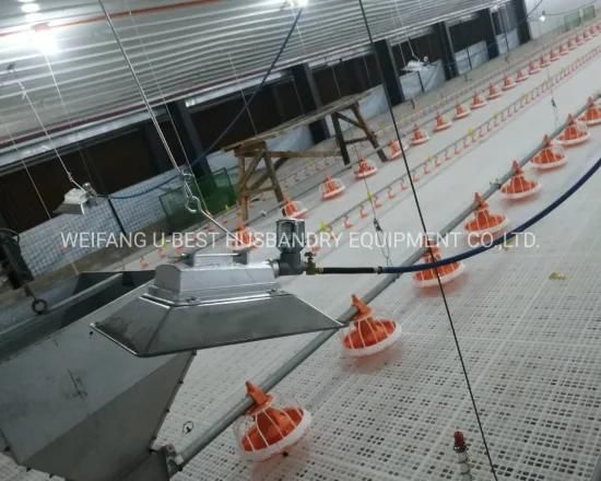 Ground Type Chicken Raising Equipment Controlled Poultry Farms with Full Automatic System