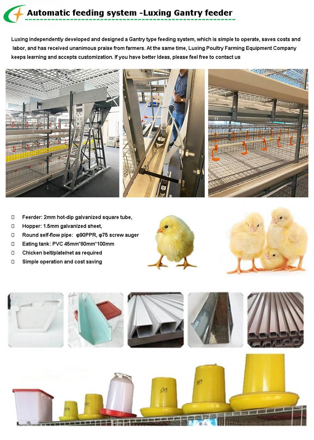 High Quality Broiler Farming Equipment Chicks Broiler Cage for Battery Farming