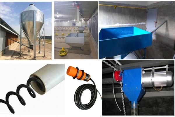 Agricultural Equipment Poultry Equipment Chicken Feed Poultry Broiler Pan System
