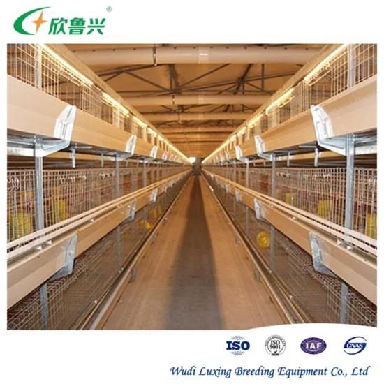 Modern Design 3 4 Tiers Automatic Chicken Broilers Cage System for Poultry Farming